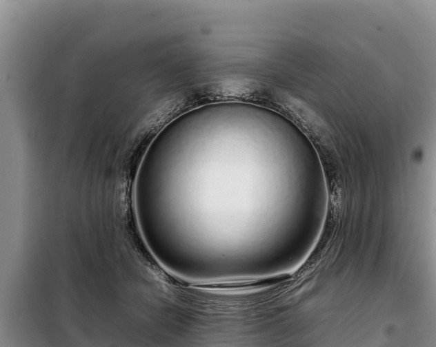 X0000099310462200805091022