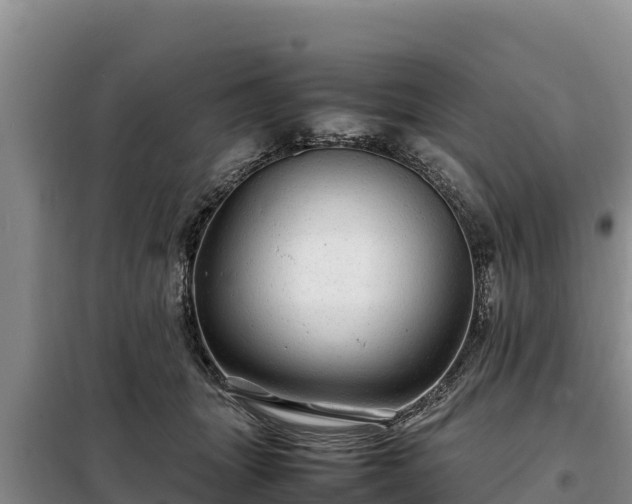 X0000099310463200805091022