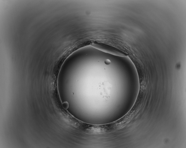 X0000099310464200805091022