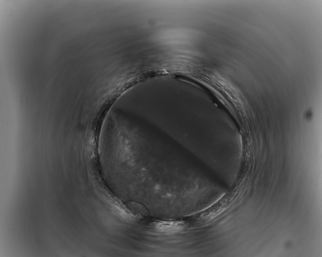 X0000099310465200805091022