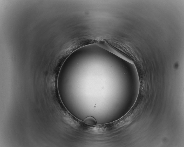 X0000099310466200805091022