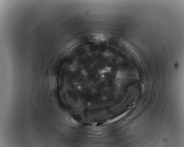 X0000099310467200805091022