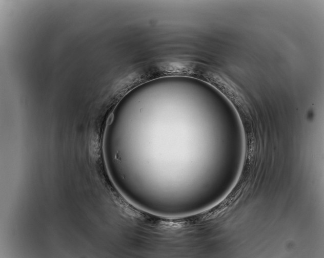 X0000099310469200805091022