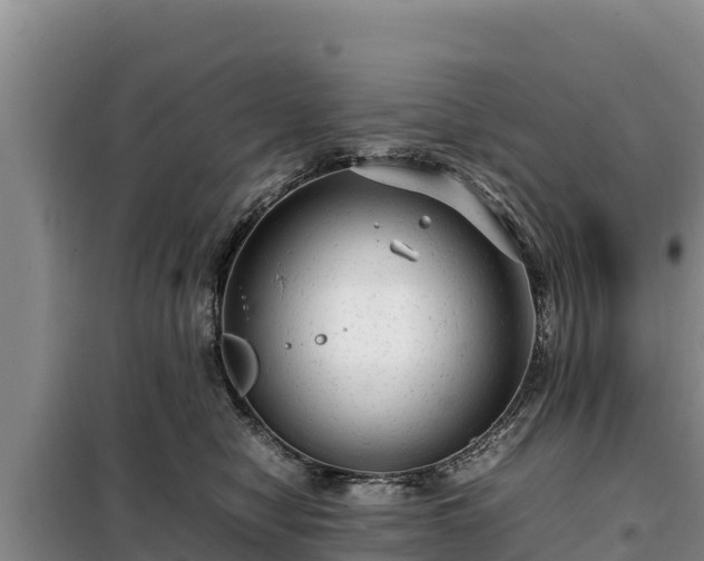 X0000099310470200805091022