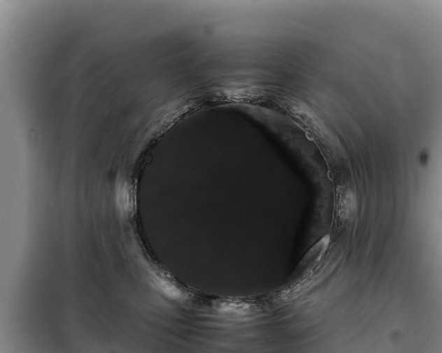 X0000099310471200805091022