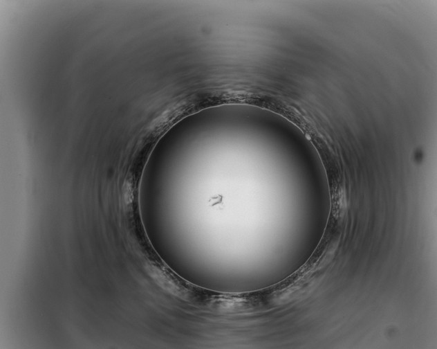 X0000099310472200805091022