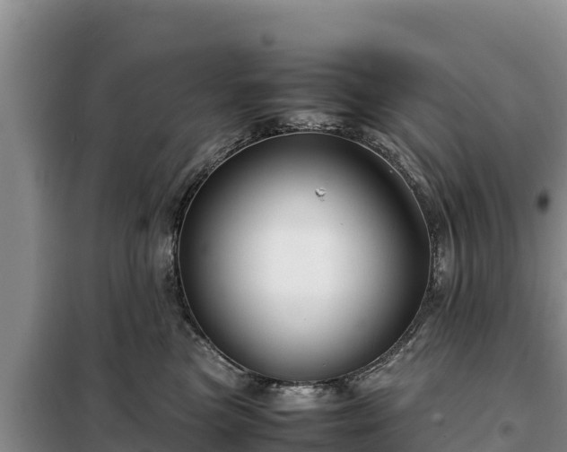 X0000099310473200805091022