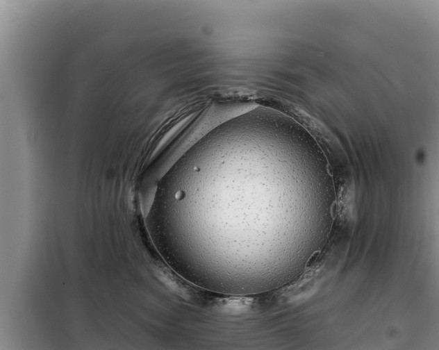 X0000099310474200805091022