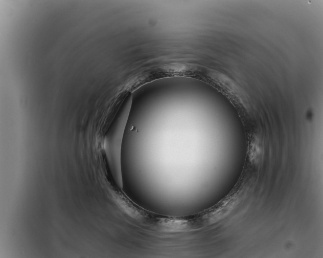 X0000099310476200805091022