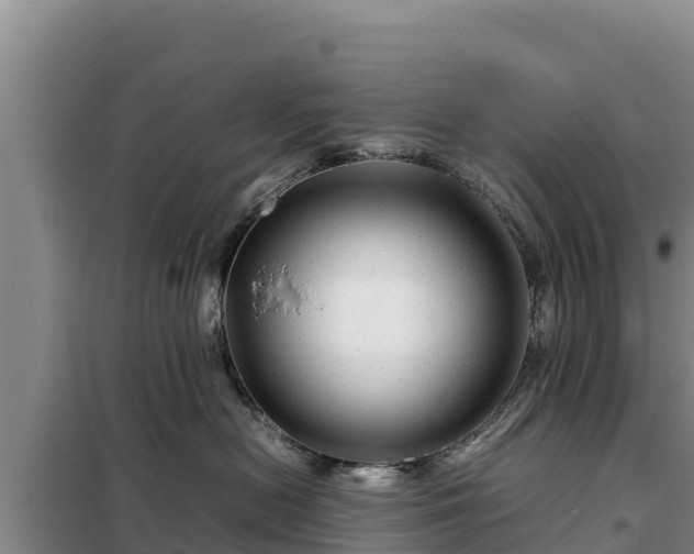 X0000099310478200805091022