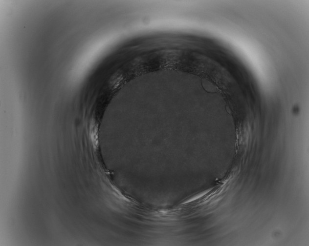 X0000099310479200805091022