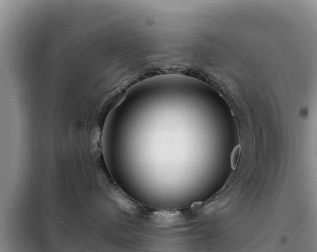 X0000099310480200805091022