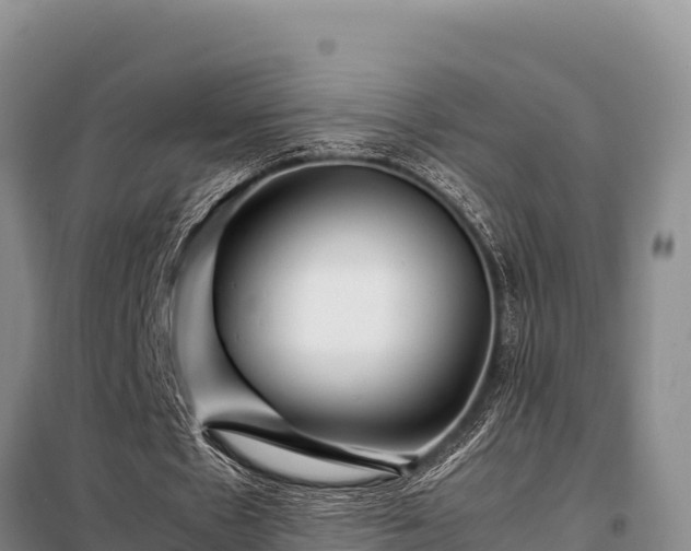 X0000099310481200805091021