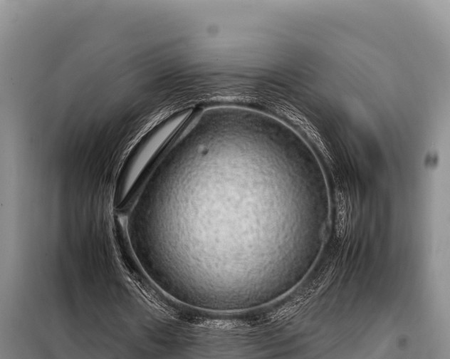 X0000099310482200805091021