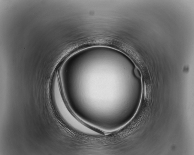 X0000099310483200805091021