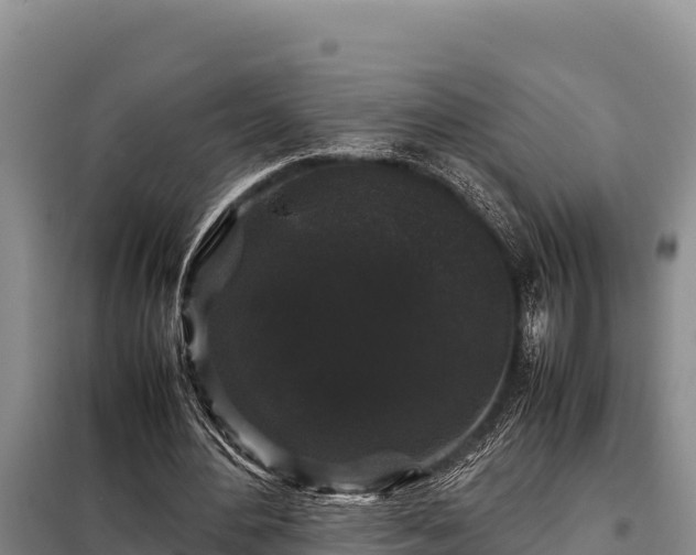 X0000099310484200805091021