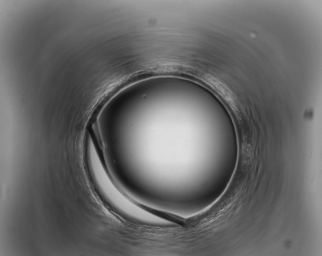 X0000099310485200805091021