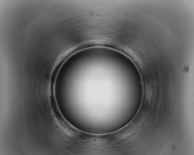 X0000099310486200805091021