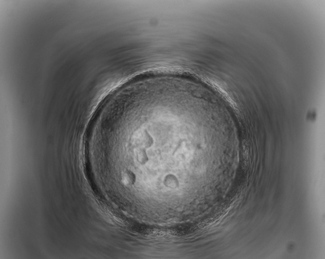 X0000099310487200805091021