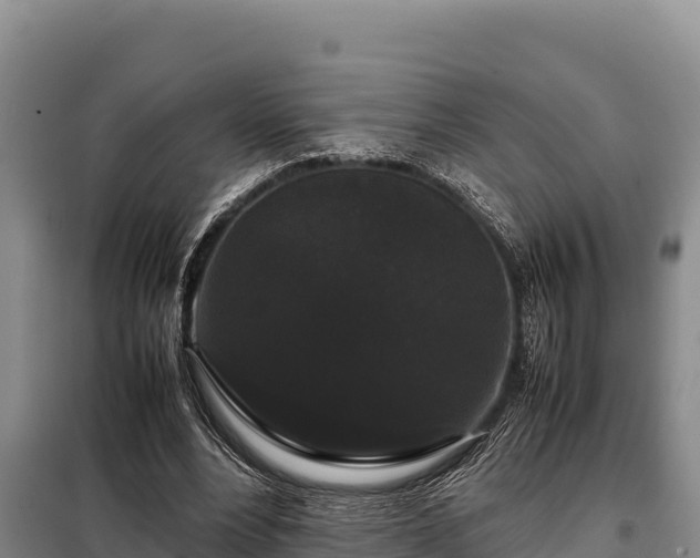 X0000099310488200805091021