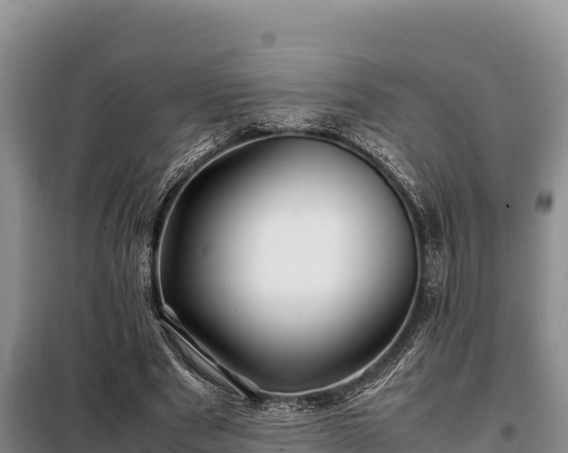 X0000099310489200805091021