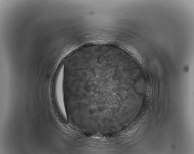 X0000099310491200805091021