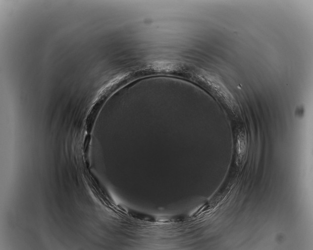 X0000099310492200805091021