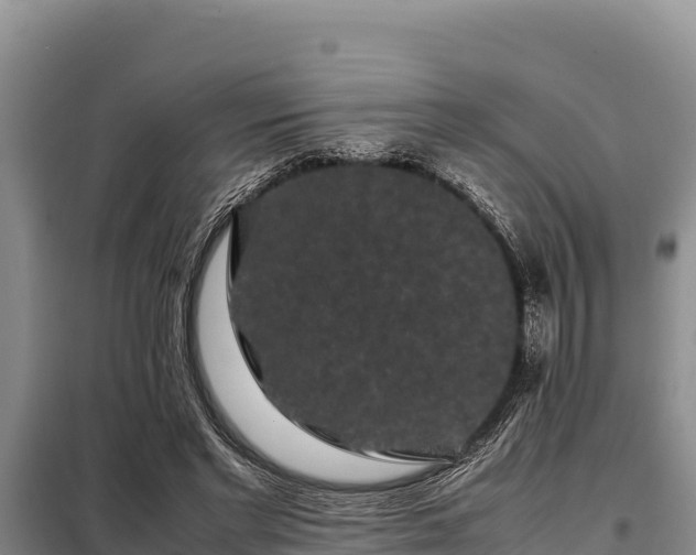 X0000099310493200805091021