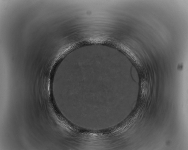 X0000099310494200805091021