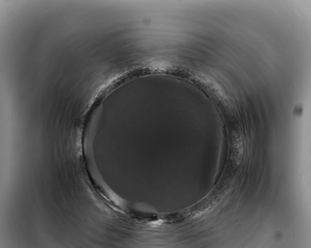 X0000099310496200805091021