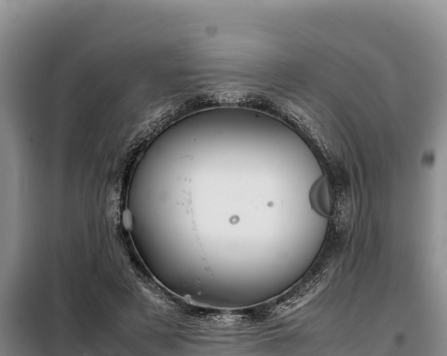 X0000099310497200805091021