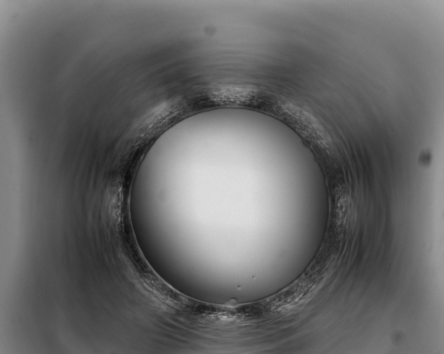 X0000099310498200805091021