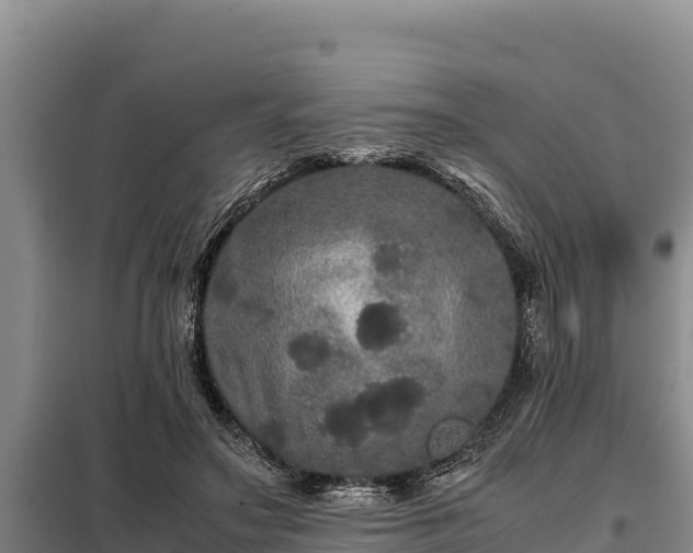 X0000099310499200805091021