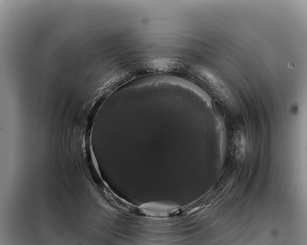 X0000099310500200805091021