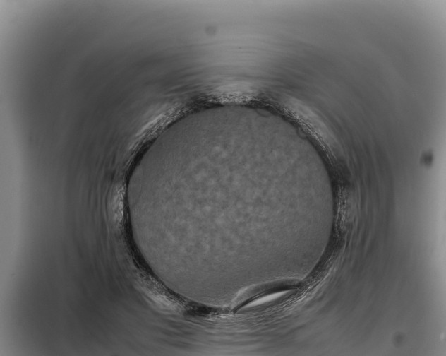 X0000099310501200805091021