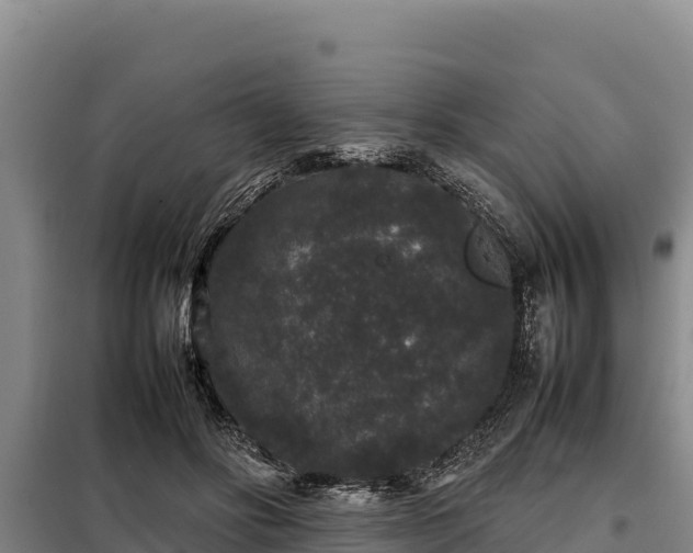 X0000099310502200805091021