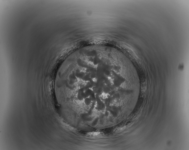 X0000099310503200805091021