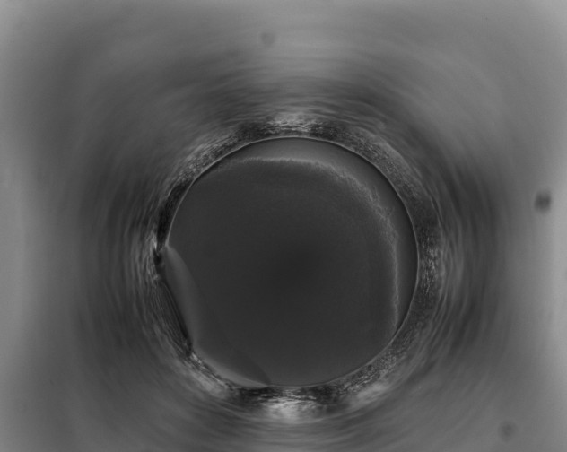 X0000099310504200805091021