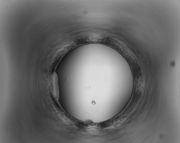 X0000099310505200805091021