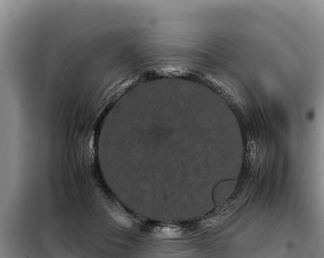 X0000099310506200805091021