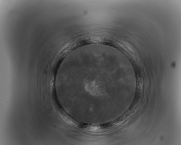 X0000099310507200805091021