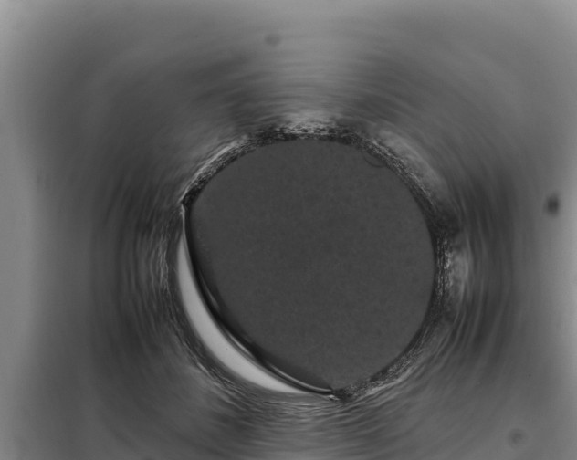 X0000099310508200805091021