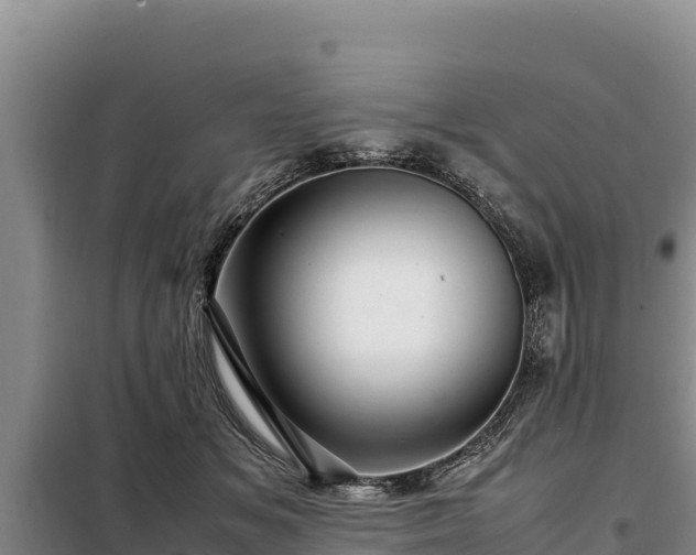 X0000099310509200805091021