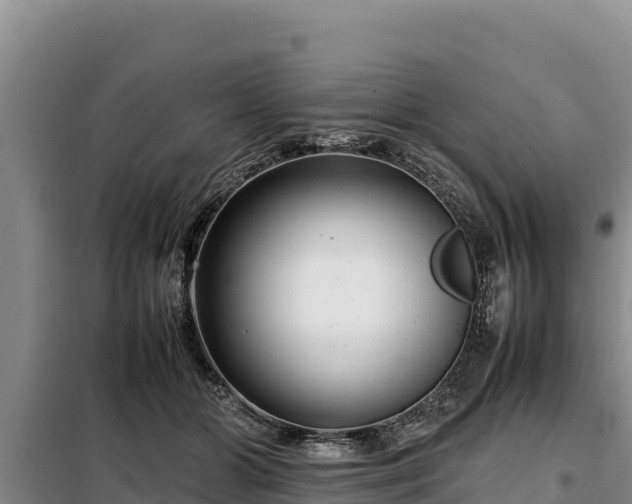 X0000099310510200805091021