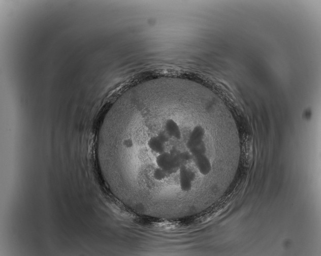 X0000099310511200805091021