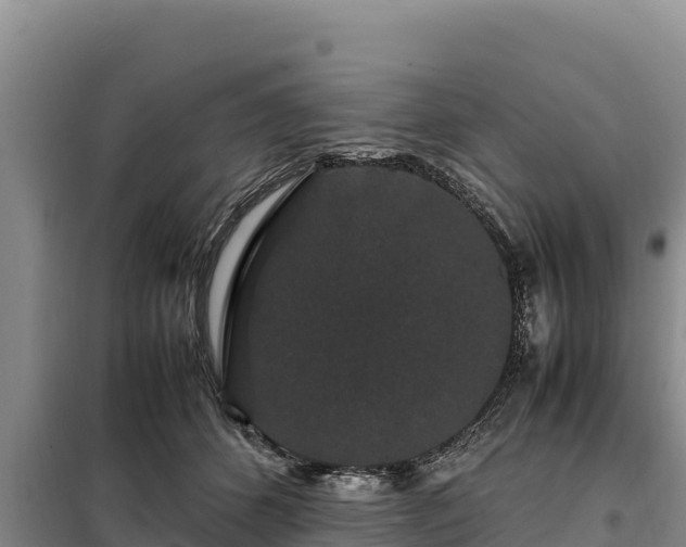 X0000099310512200805091021