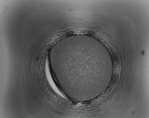 X0000099310513200805091021