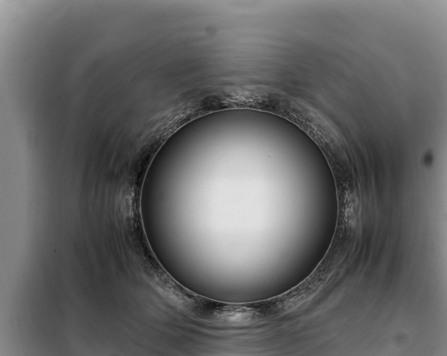 X0000099310514200805091021