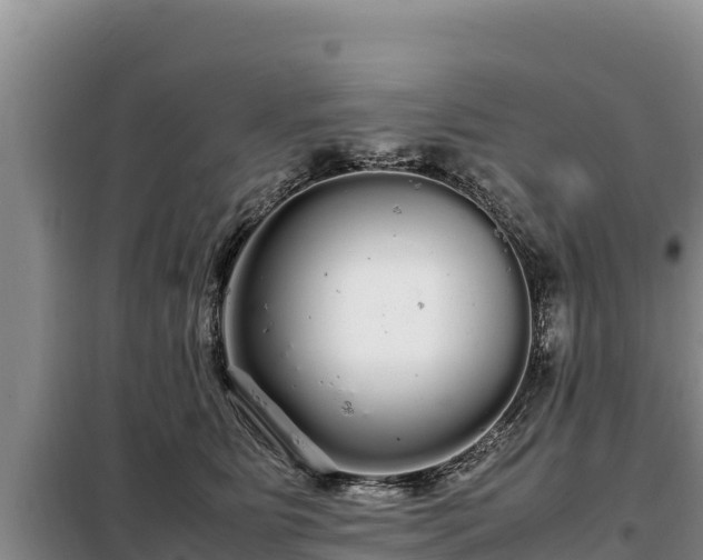 X0000099310515200805091021