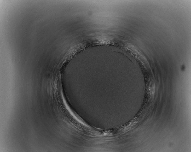 X0000099310516200805091021